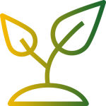 sprout (1)