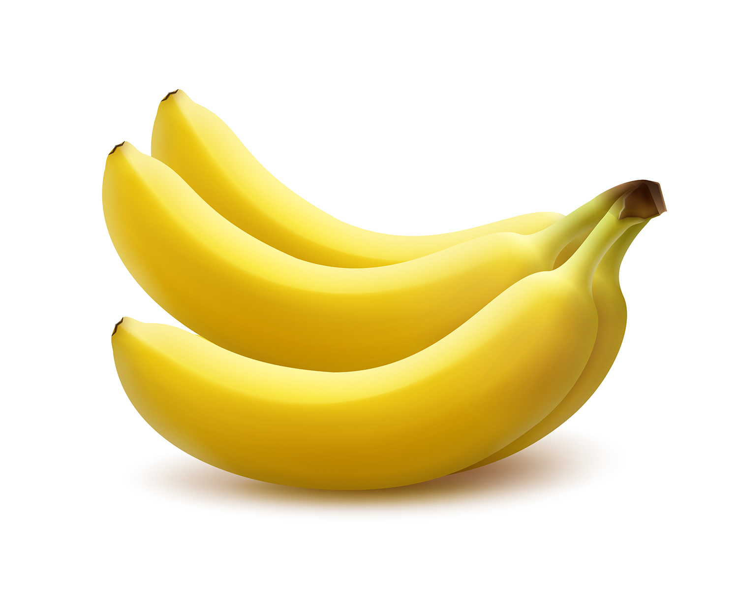 Ripe banana bunch